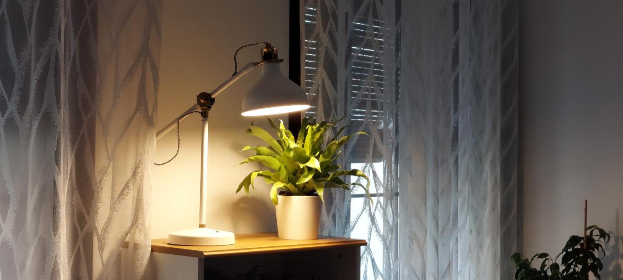 Apartamentos Los Descalzos Angel With Private Terrace Free Parking Ronda Ngoại thất bức ảnh