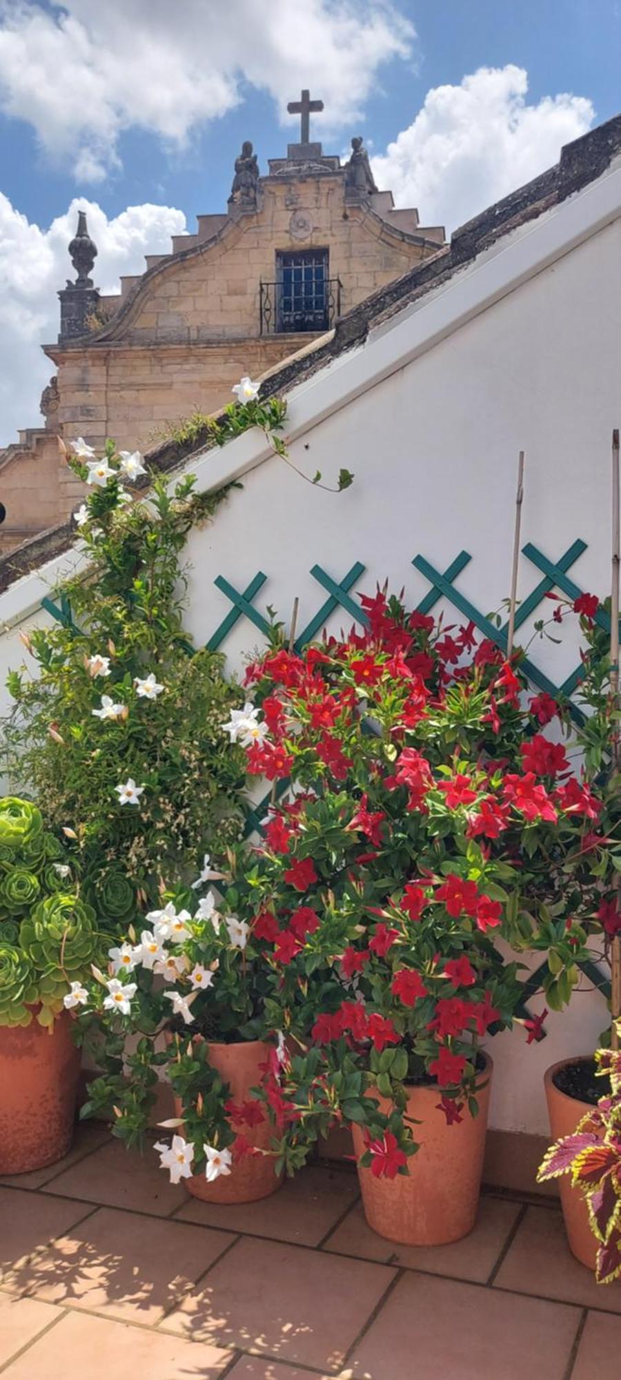 Apartamentos Los Descalzos Angel With Private Terrace Free Parking Ronda Ngoại thất bức ảnh