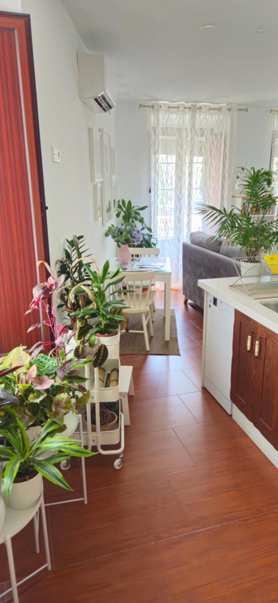 Apartamentos Los Descalzos Angel With Private Terrace Free Parking Ronda Ngoại thất bức ảnh