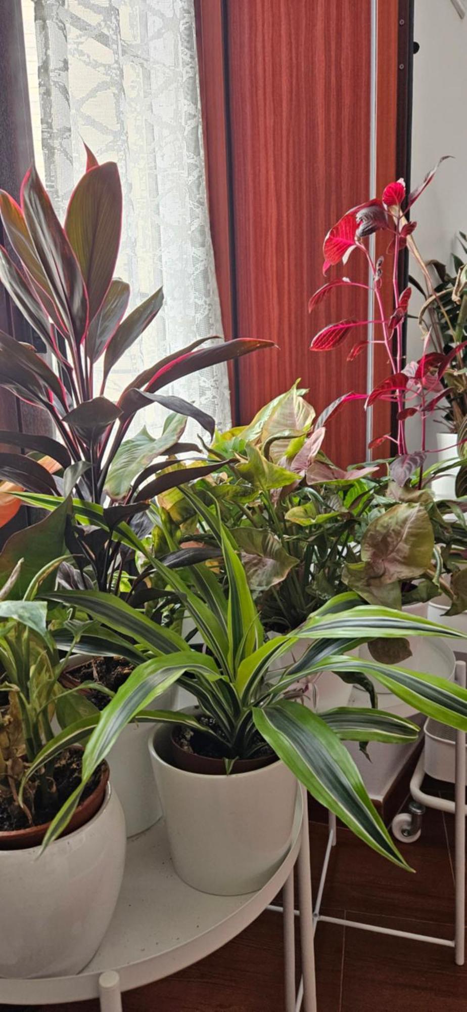 Apartamentos Los Descalzos Angel With Private Terrace Free Parking Ronda Ngoại thất bức ảnh