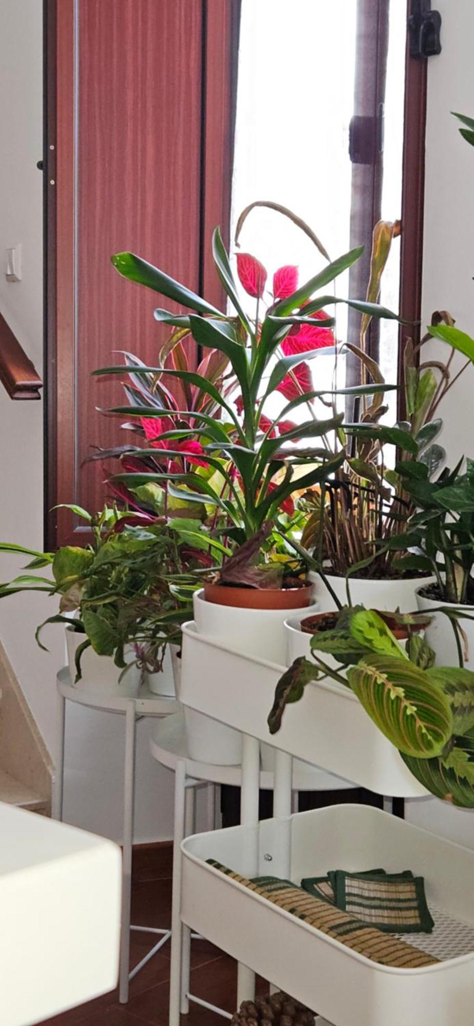 Apartamentos Los Descalzos Angel With Private Terrace Free Parking Ronda Ngoại thất bức ảnh
