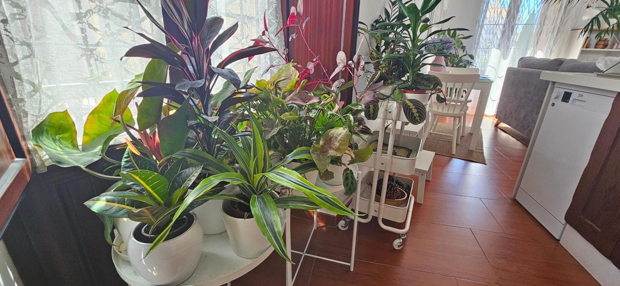 Apartamentos Los Descalzos Angel With Private Terrace Free Parking Ronda Ngoại thất bức ảnh