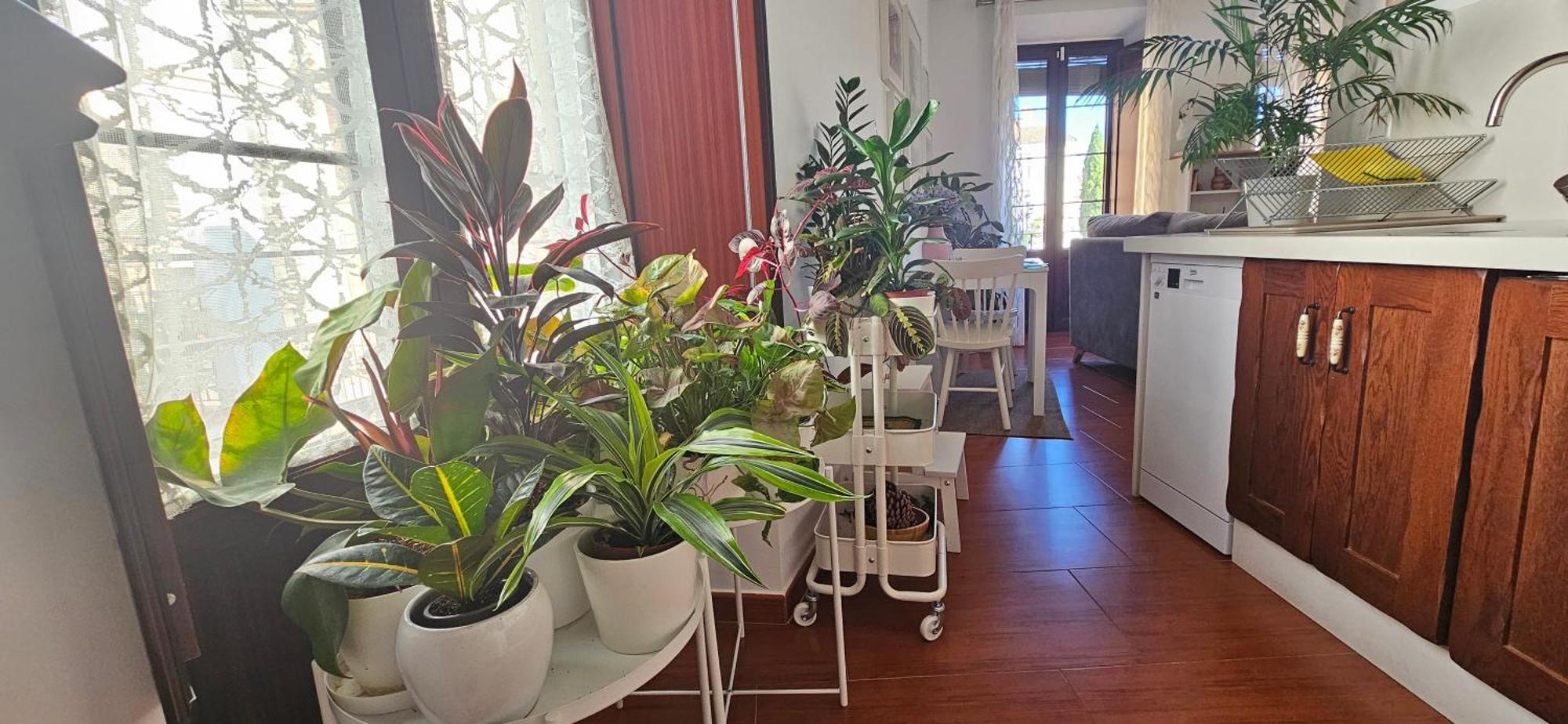 Apartamentos Los Descalzos Angel With Private Terrace Free Parking Ronda Ngoại thất bức ảnh
