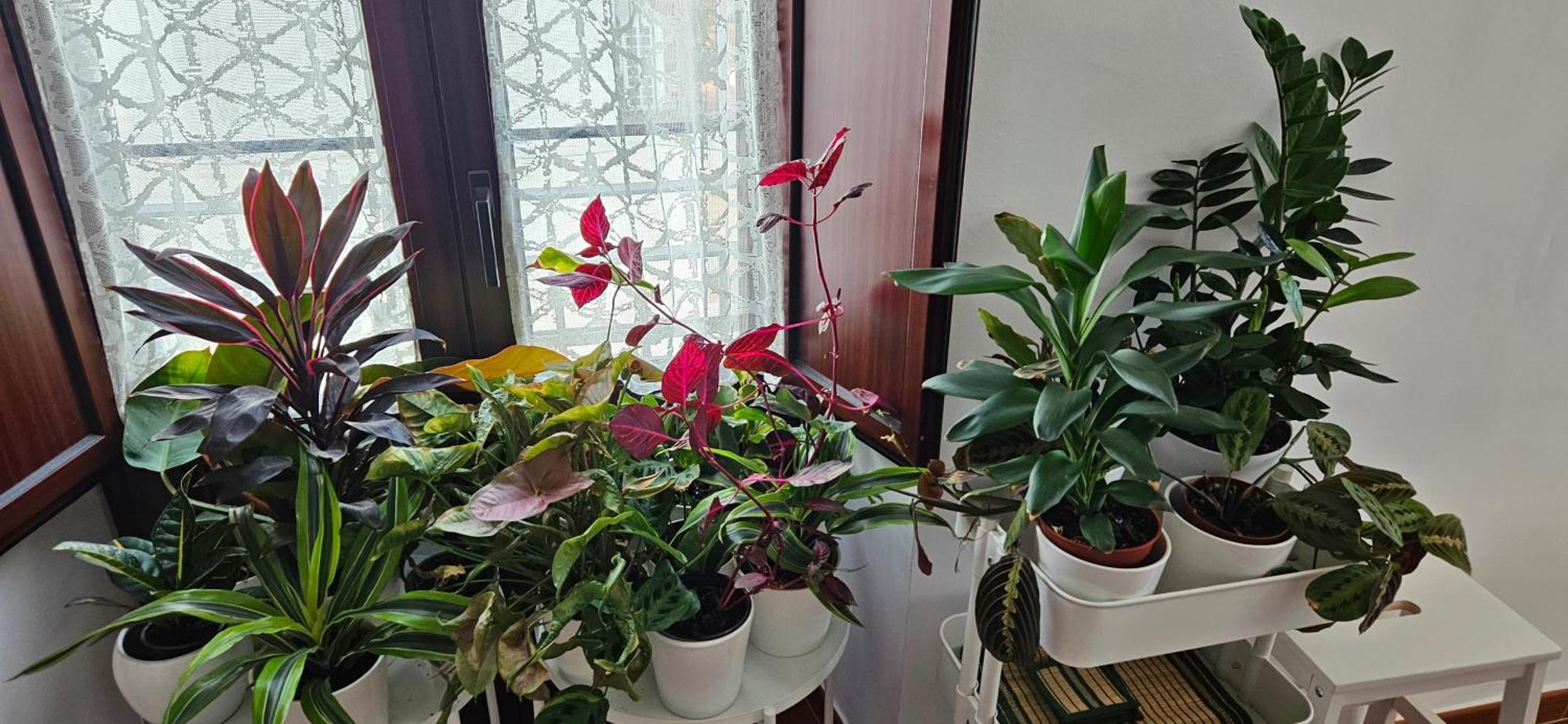 Apartamentos Los Descalzos Angel With Private Terrace Free Parking Ronda Ngoại thất bức ảnh